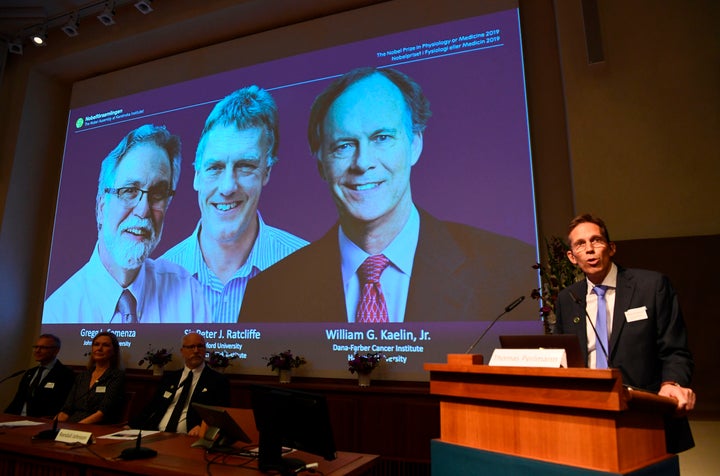 Thomas Perlmann (R), the Secretary of the Nobel Committee, speaks as the winners are announced of the 2019 Nobel Prize in Phy
