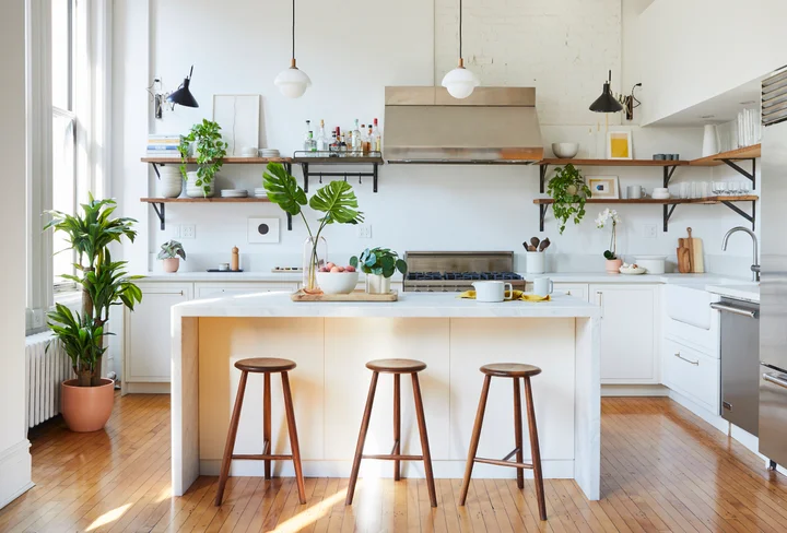 We tried <a href="https://fave.co/31UC9GP" target="_blank" rel="noopener noreferrer">The Sill's new faux plant line</a>.