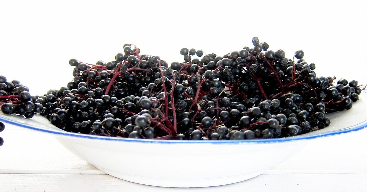 AntioxidantRich Elderberry Can Help with Weight Loss HuffPost News