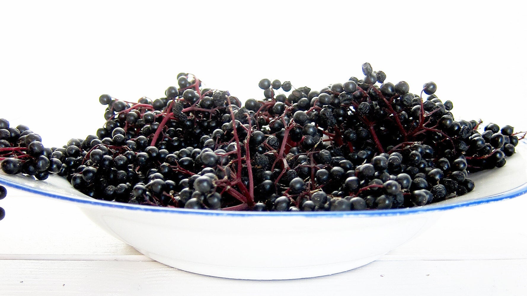 AntioxidantRich Elderberry Can Help with Weight Loss HuffPost News