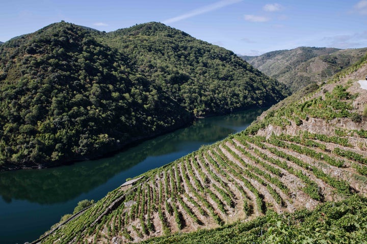 Ladera del río Sil, en Galicia.