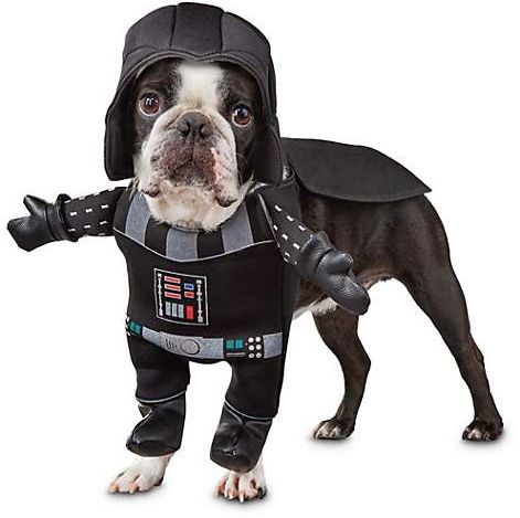 Funny Halloween Costumes for Pets + How to have a fun but SAFE Halloween  with your pets. — We Call It Puppy Luv
