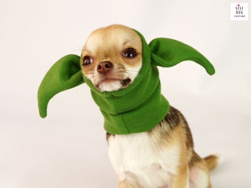 Adorable Chihuahua Yoda Costume