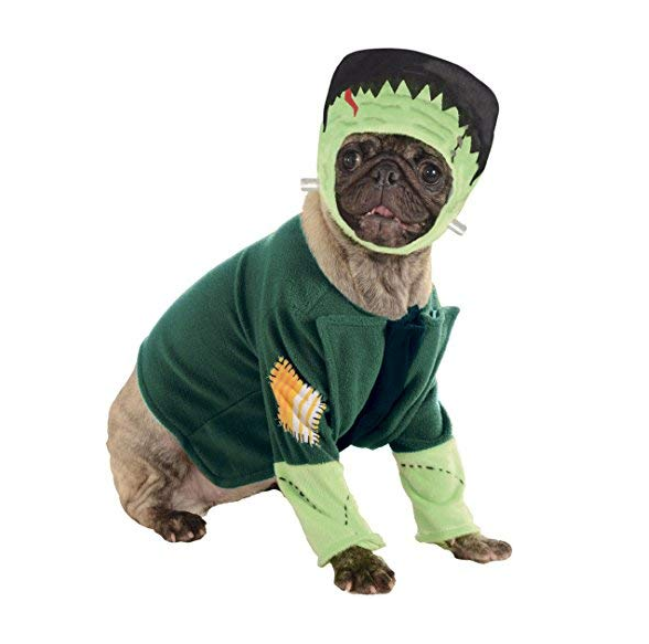 Best Dog Costumes For Houston Sports Fans – Chron Shopping