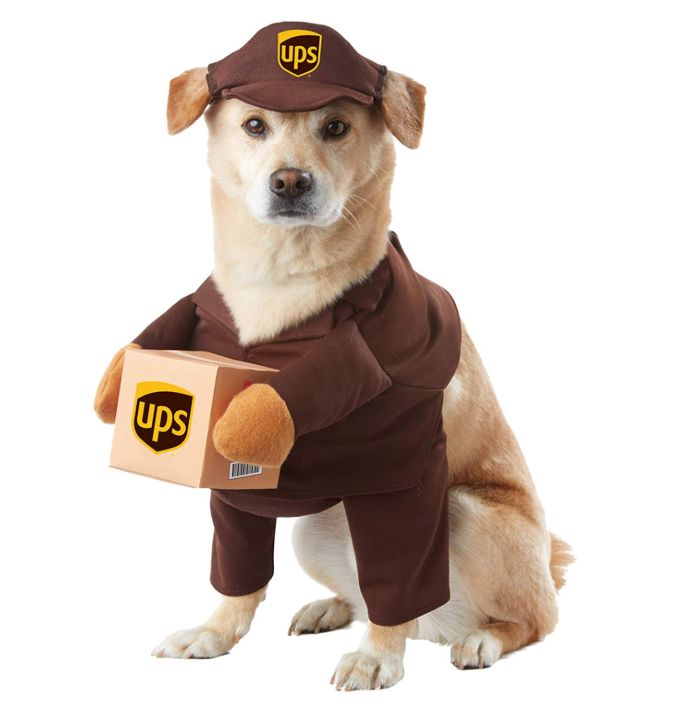 California Costume Collections UPS Pal Dog Costume