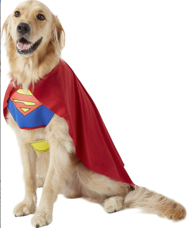 20 Pawsitively Funny Halloween Costumes For Dogs Of All Sizes