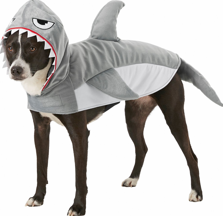 Funny Halloween Costumes for Pets + How to have a fun but SAFE Halloween  with your pets. — We Call It Puppy Luv