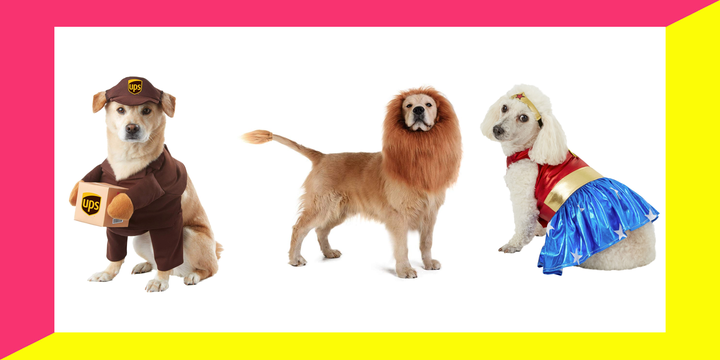 Dog Halloween Costumes, Stuff We Love