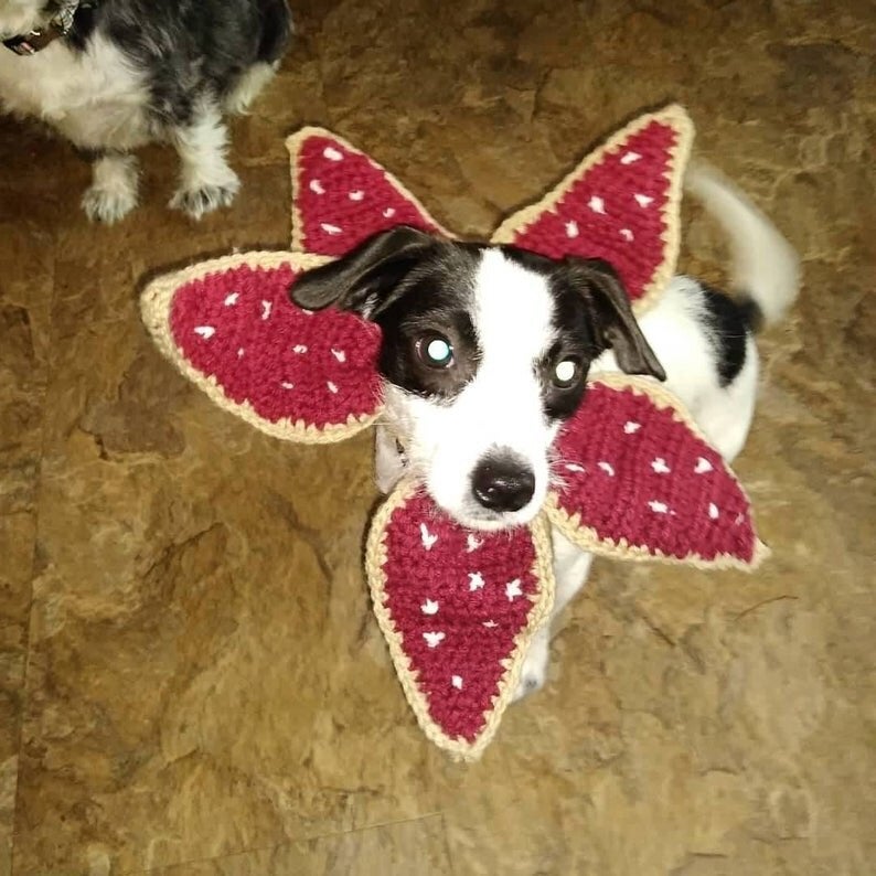 31 Of The Most Hilarious Halloween Costumes For Dogs! These Are