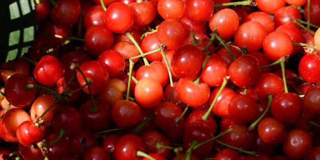 8 health benefits of tart cherries (not cherry tarts, unfortunately)