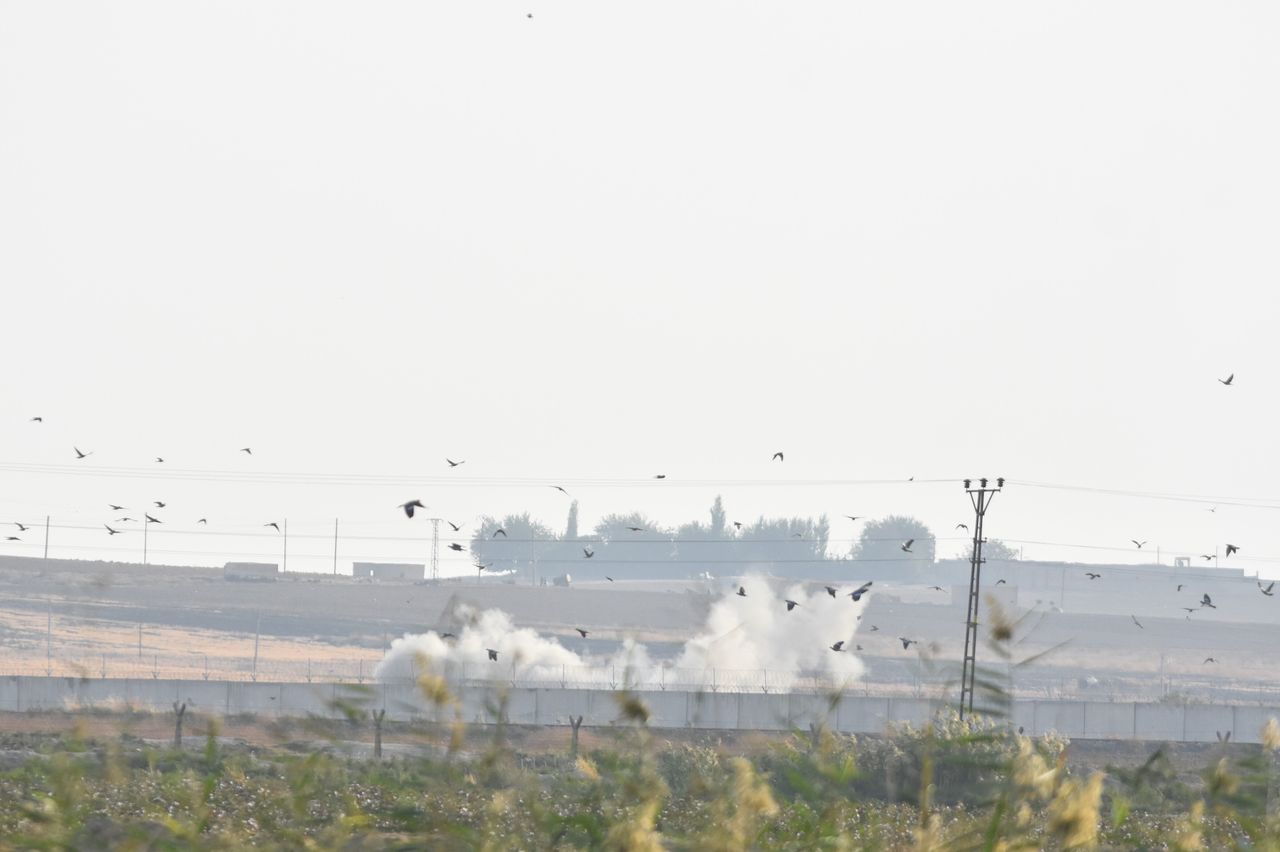 Τα πουλιά στη Συρία τρέπονται σε φυγή, όπως ακριβώς και οι άμαχοι της περιοχής.