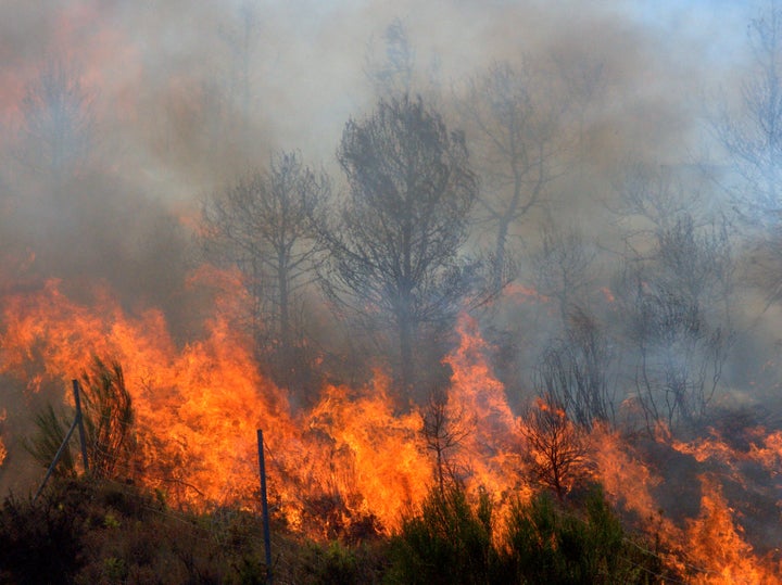 The home belonging to Ilgin Yorulmaz's family in western Turkey barely survived a massive forest fire last month.