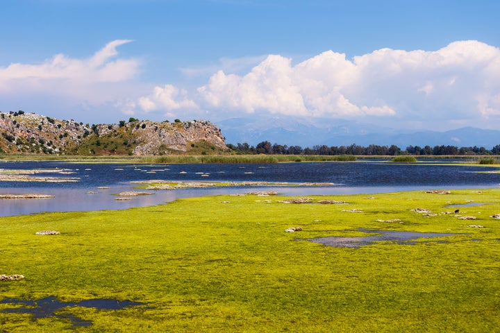 Προστατευόμενη περιοχλή Natura - Λίμνη Προκόπου