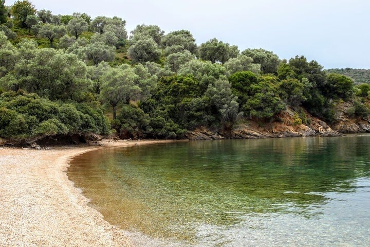 Τα γκριζοπράσινα χωράφια με ελιές που κατεβαίνουν μέχρι κάτω στη θάλασσα είναι ένα από τα πιο χαρακτηριστικά τοπία του Πηλίου