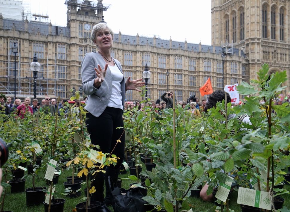 Labour MP Kate Green among the saplings outside parliament on Thursday 
