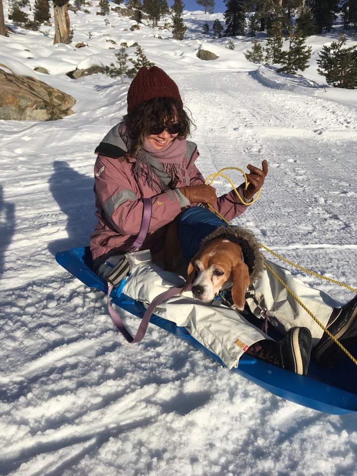 The author and Shiloh, her emotional support animal.