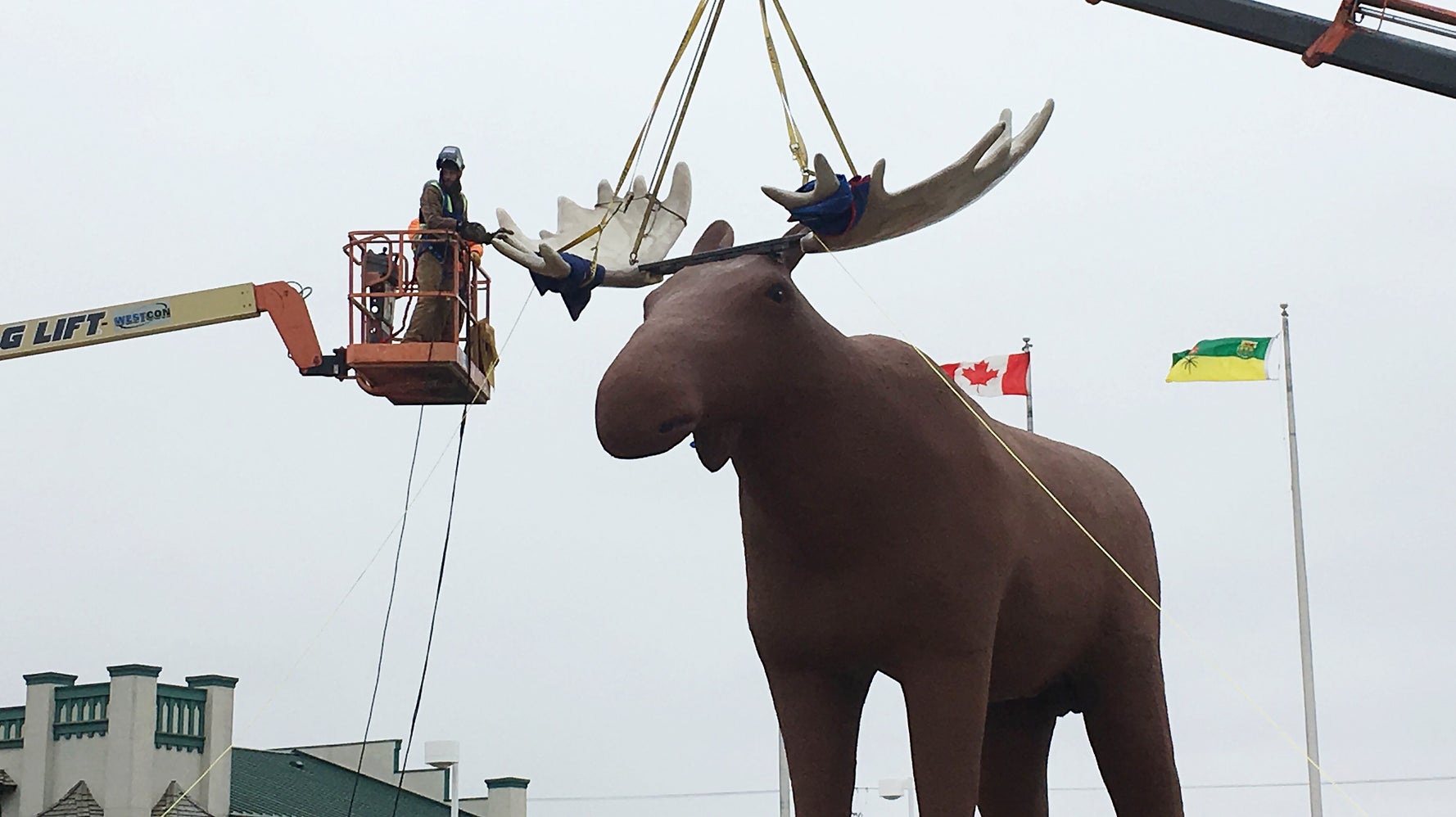 Mac The Moose Tallest Moose Statue Once Again HuffPost News