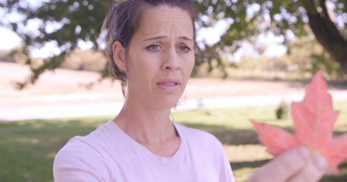 The Difference Between Fall Lovers And Fall Haters, In One Funny Video ...