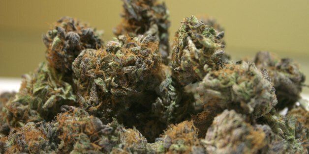 A B.C. company is recalling a batch of Purple Kush, a type of medical marijuana.