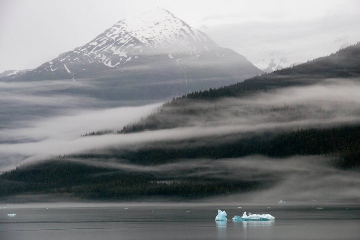 Icebergs near the Dawes Glacier in Tongass National Forest, Alaska.