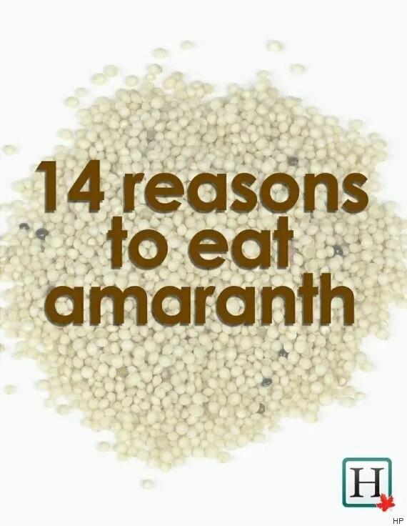 Amaranth grain uses