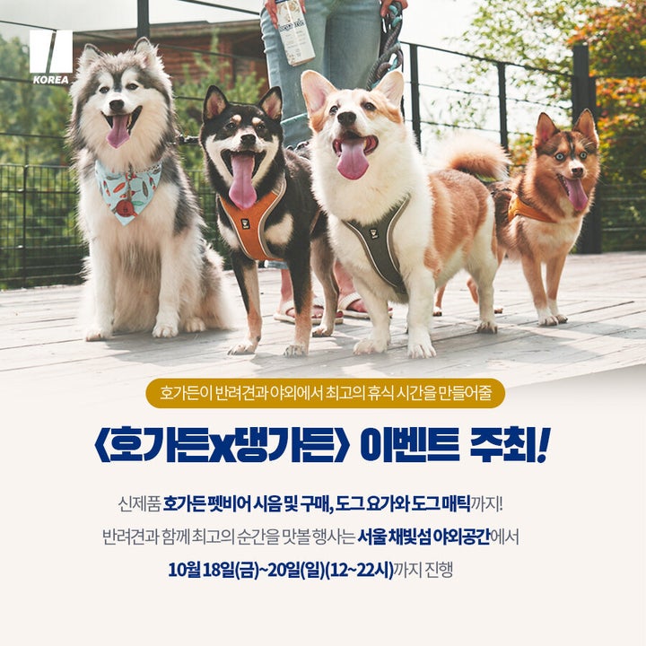 호가든X댕가든
