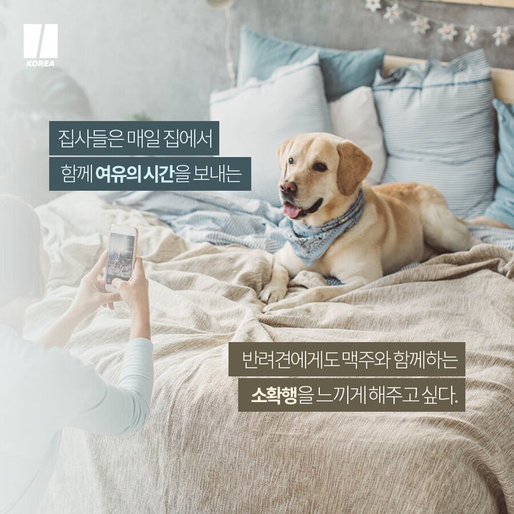 호가든X댕가든