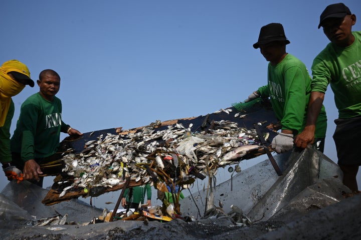 The Philippines already has an unmanageable waste and pollution problem. Here, workers collect thousands of dead fish in Manila Bay, one of the most polluted waterways in the country.