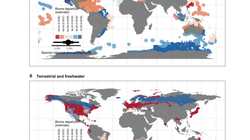 Ces cartes montrent comment l’homme a bouleversé la