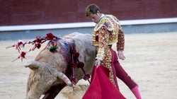 Jean Reno, Denis Podalydès et d’autres s’opposent à l’interdiction de la corrida aux