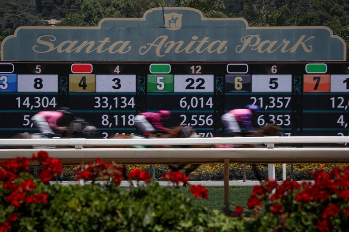 Horses finish a race at the Santa Anita horse racing track on Sunday, June 23, 2019, in Santa Anita, Calif. The park has been under scrutiny in recent months over its high equine fatality rate.