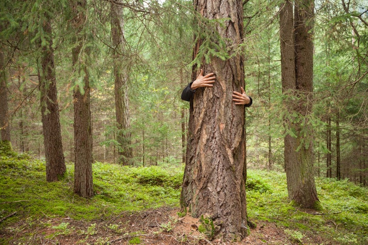 “Cette angoisse a toujours existé dans le militantisme écologique, mais elle s’est récemment aggravée sous l’effet d’une réduction des horizons temporels. Le dérèglement climatique ne va plus ­affecter les générations futures mais celles d’aujourd’hui. Ce sujet est tellement écrasant, d’un point de vue émotionnel, qu’il peut phagocyter la vie personnelle”.