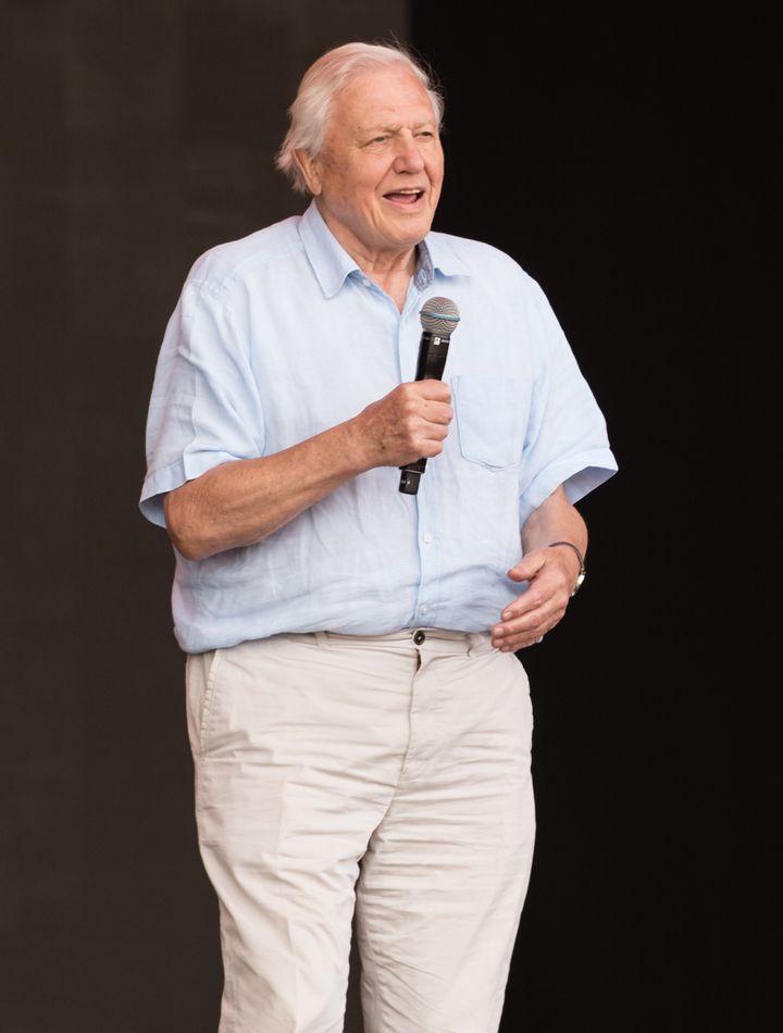 Sir David Attenborough at Glastonbury over the summer