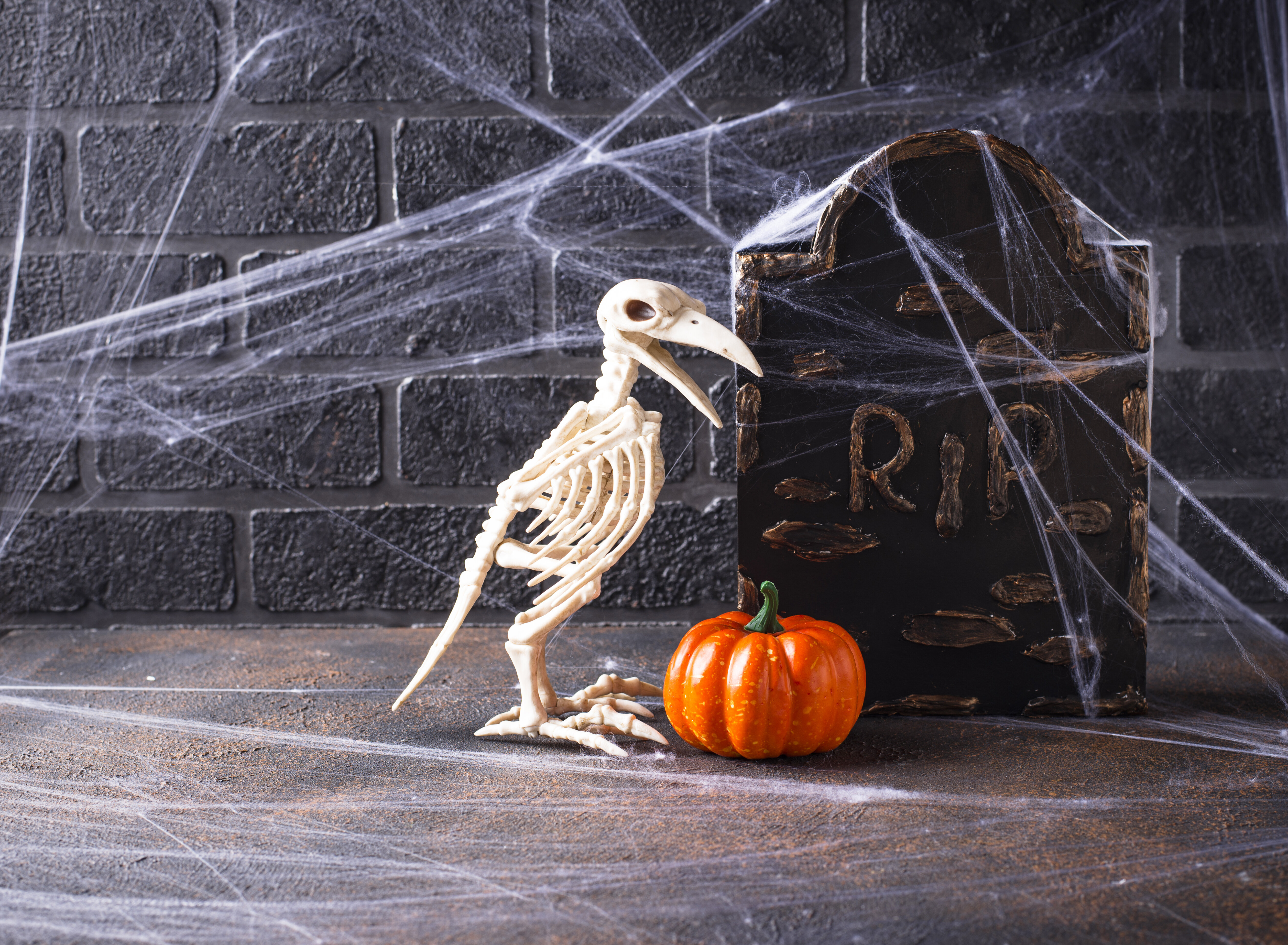 animal halloween decorations