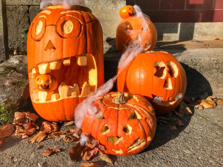 People often throw out their carved out pumpkins after Halloween, but you can also cut them up and compost them.