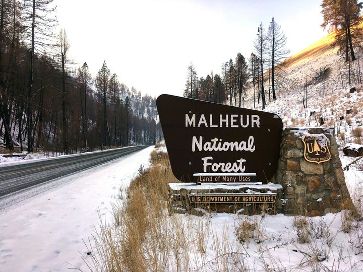 This Dec. 7, 2016 photo, shows the entrance to the Malheur National Forest near John Day, Ore. 