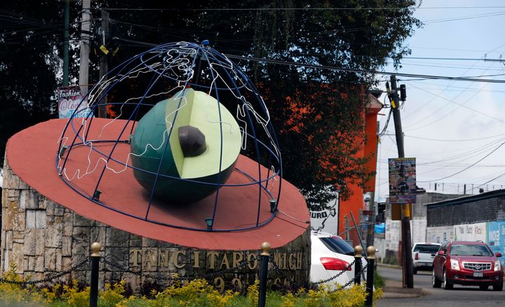 Ενα γλυπτό με θέμα το αβοκάντο βρίσκεται στην είσοδο της πόλης Ζιρακουαρέντο, στην πολιτεία του Μιτσοακάν.