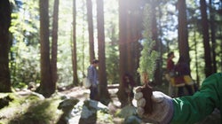 La revolución verde al alcance de un