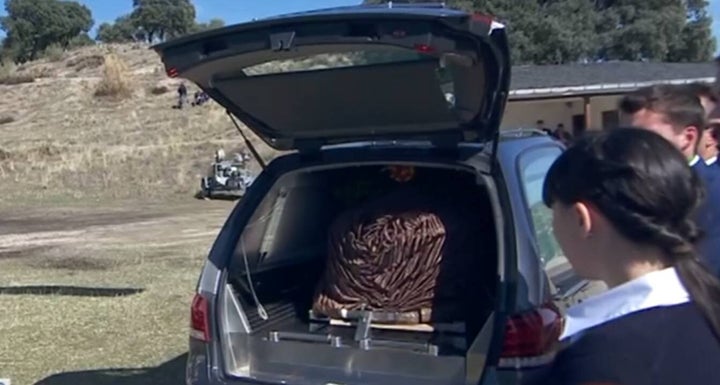 Los restos de Franco ya están en el coche fúnebre.