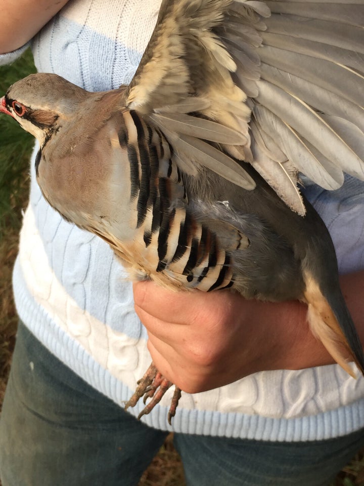 Partridges are the smallest option, meaning each guest can get their own bird.