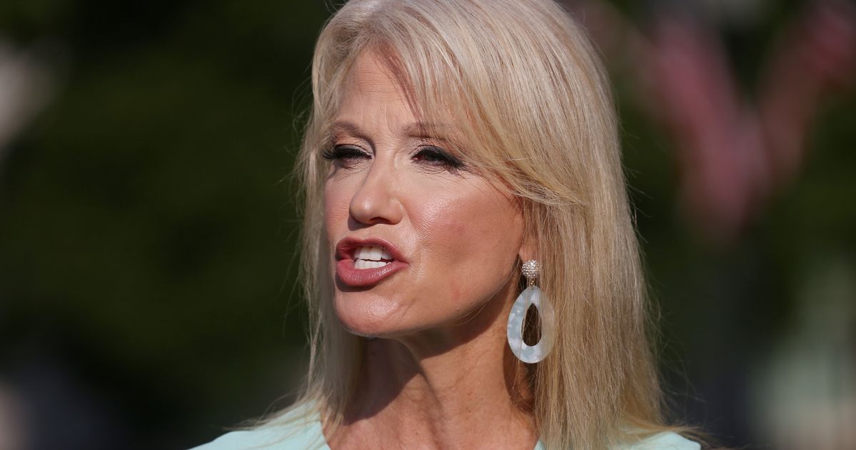 Kellyanne Conway Loses It On Reporter Who Mentioned Her Anti-Trump ...