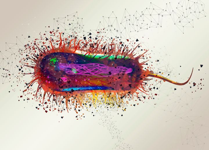 E coli virus, illustration.