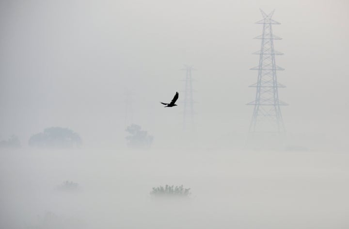 A photograph in Delhi's Mayur Vihar, on October 24 2019 — three days before Diwali.