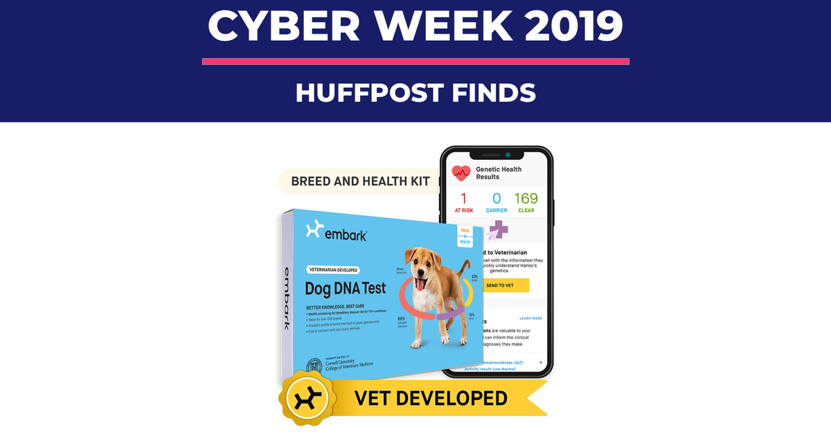 Dog DNA Kit Black Friday Deals For 2019 Are Worth Barking About