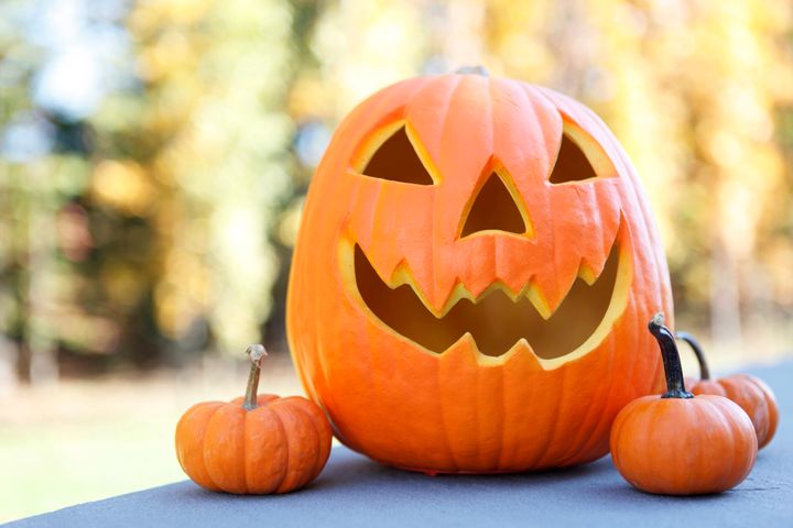 While the pumpkins best suited for carving are technically edible, they're not the tastiest options for cooking. 