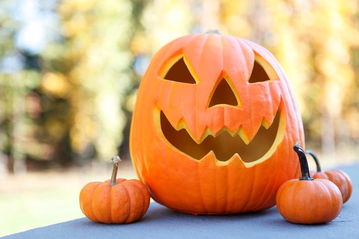 While the pumpkins best suited for carving are technically edible, they're not the tastiest options for cooking.