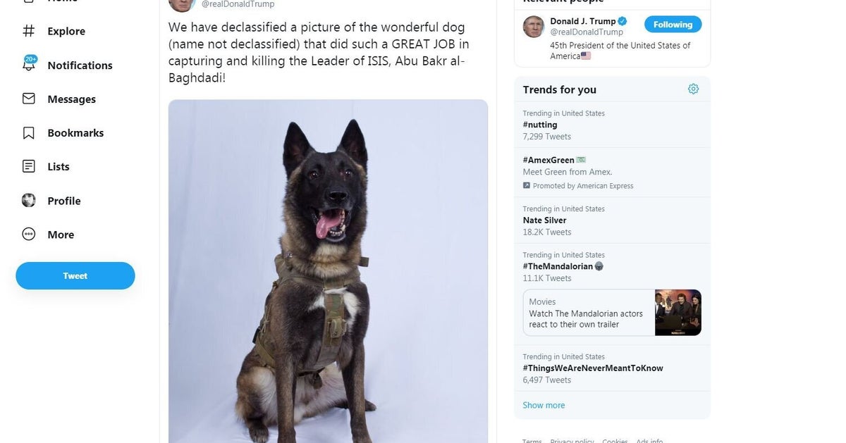Donald Trump Declassifie La Photo Du Chien Heros De L Assaut