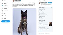 Trump “déclassifie” la photo du chien héros de l’assaut contre al-Baghdadi, et ça ne passe pas