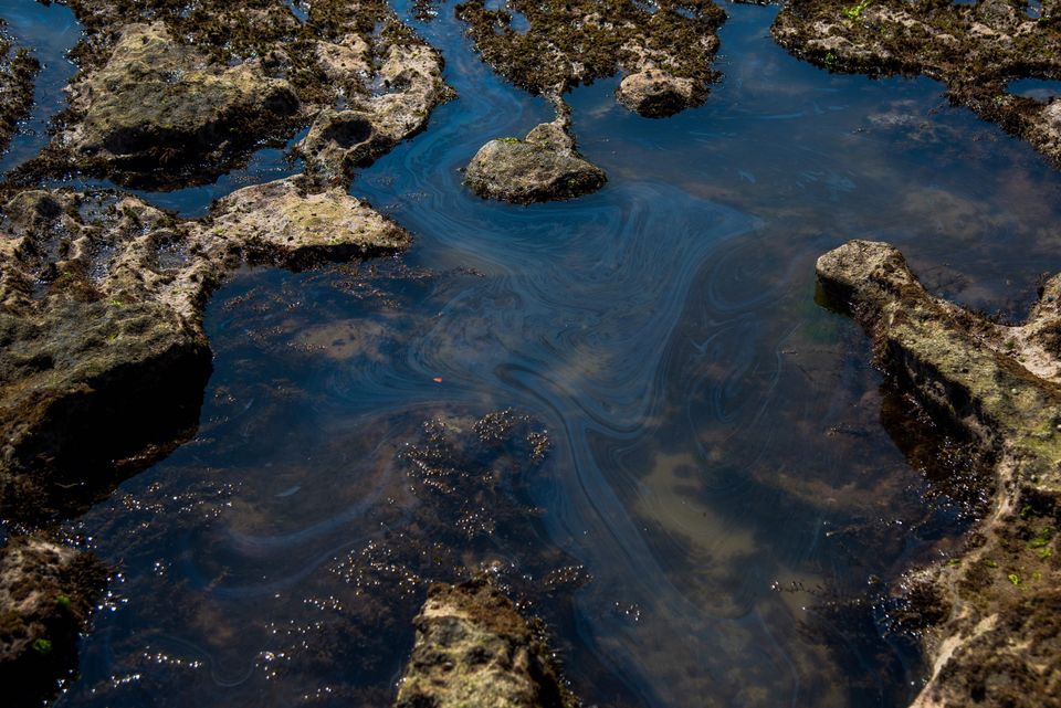 O desastre ambiental que manchou nossos cartões-postais no Nordeste em 11