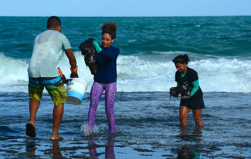 O desastre ambiental que manchou nossos cartões-postais no Nordeste em 11